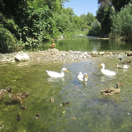 Arikanda River Garden Adrasan